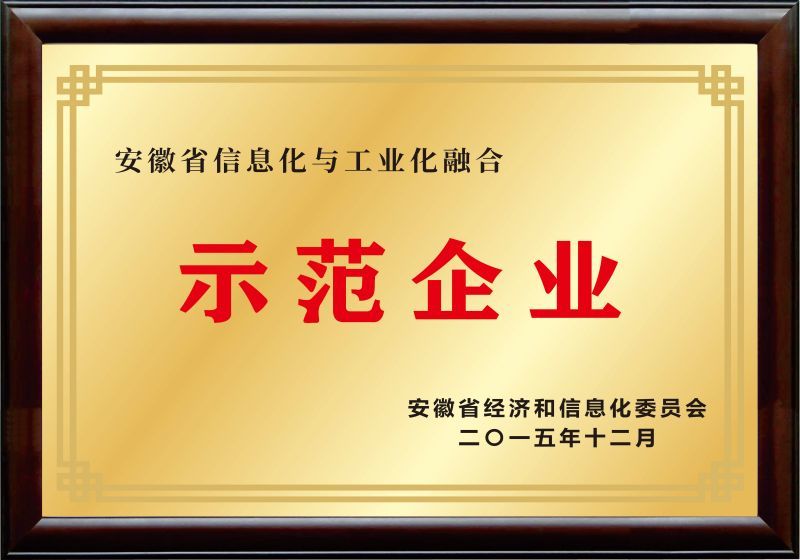 安徽省两化融合示范企业