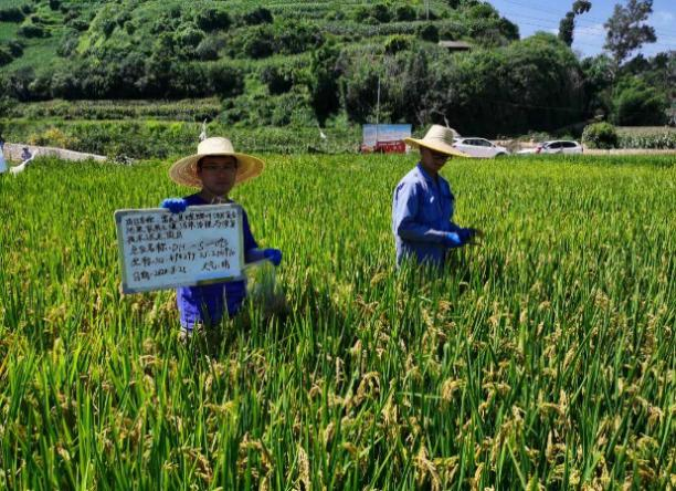 云南省富民县